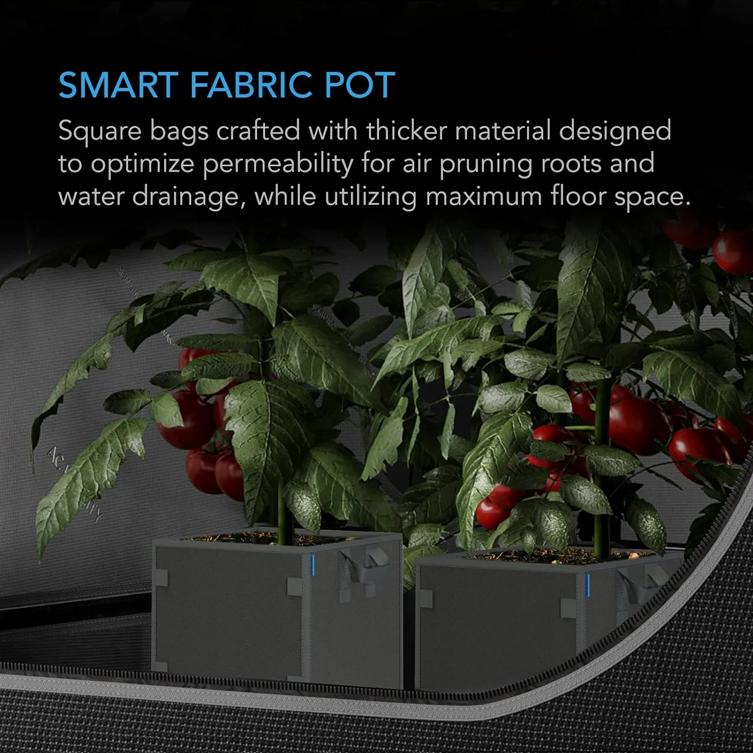 AC Infinity Square Heavy Duty Fabric Pots, 5 Gallon Aeration Reusable Grow Bags 5-Pack with 500G Thick Nonwoven Fabric and Plant Stake Loops, for Garden Growing Fruits, Vegetables, and Flowers