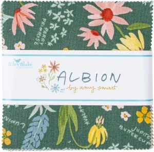 Albion Riley Blake 5-inch Stacker, 42 Precut Fabric Quilt Squares by Amy Smart, Assorted