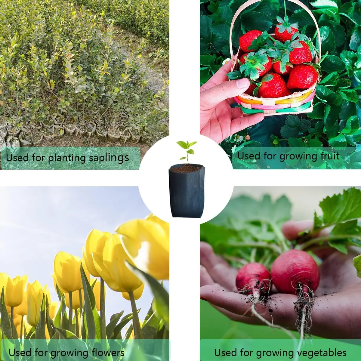gardtree Plant Nursery Bags 6.3” x 7” 200PCS, Non-Woven Biodegradable Plant Grow Bags Fabric Seedling Starter Bags for Vegetable Flower Fruit Saplings Tree, Home Garden Supply
