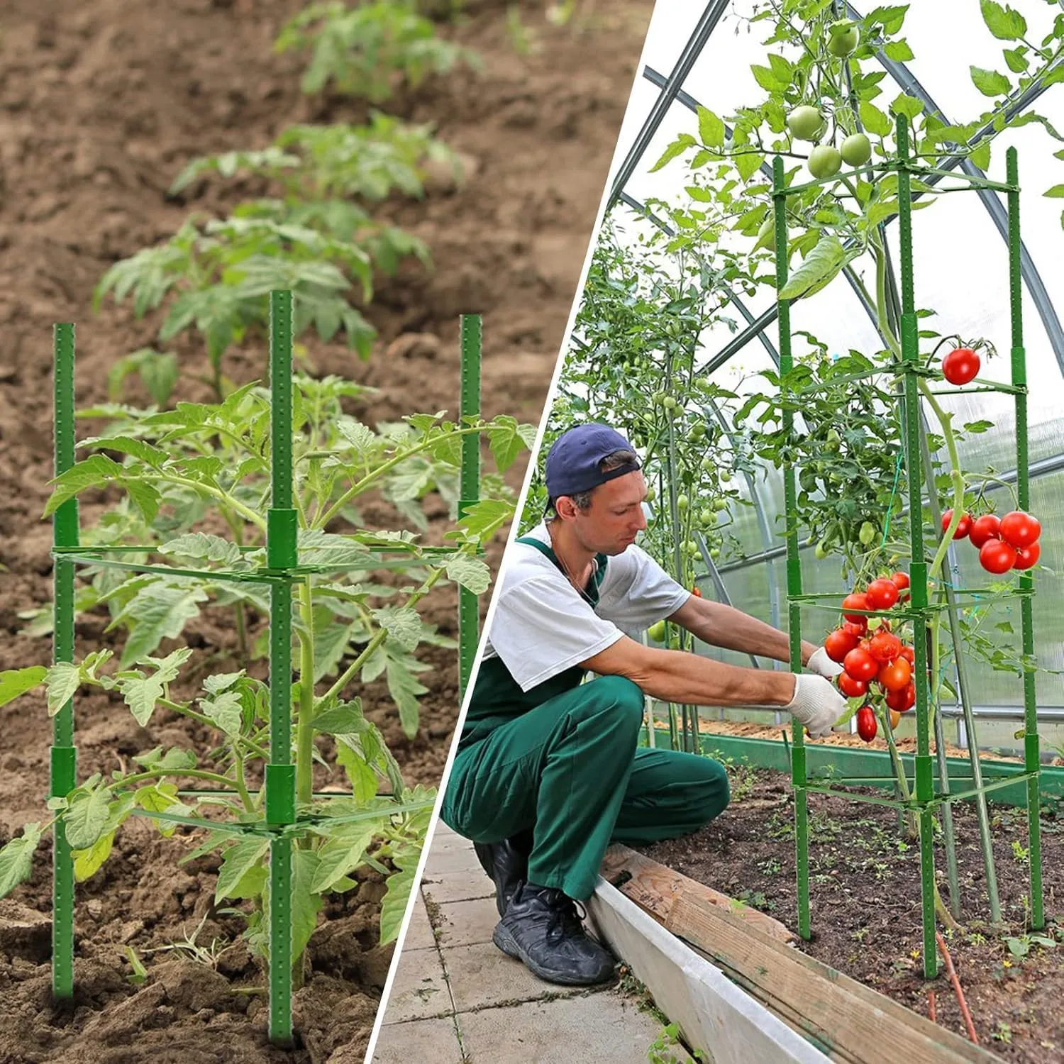 Halatool 6 Pack Tomato Cages for Garden, Up to 48in(4FT) Adjustable Tomato Cage,Garden Stakes Tomato Trellis for Pots, Green Tomato Plant Support with Snap-On Arms for Vegetables Plants(6 Buckles)