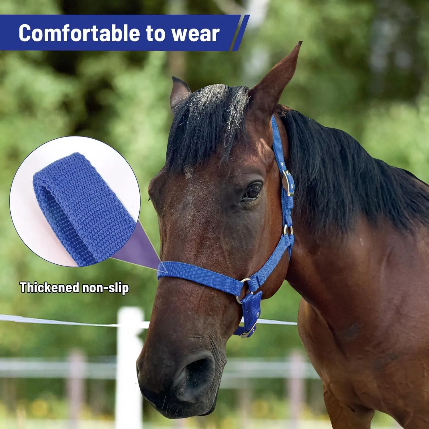 Horse Halter, Adjustable Nylon Strap with Metal Hardware