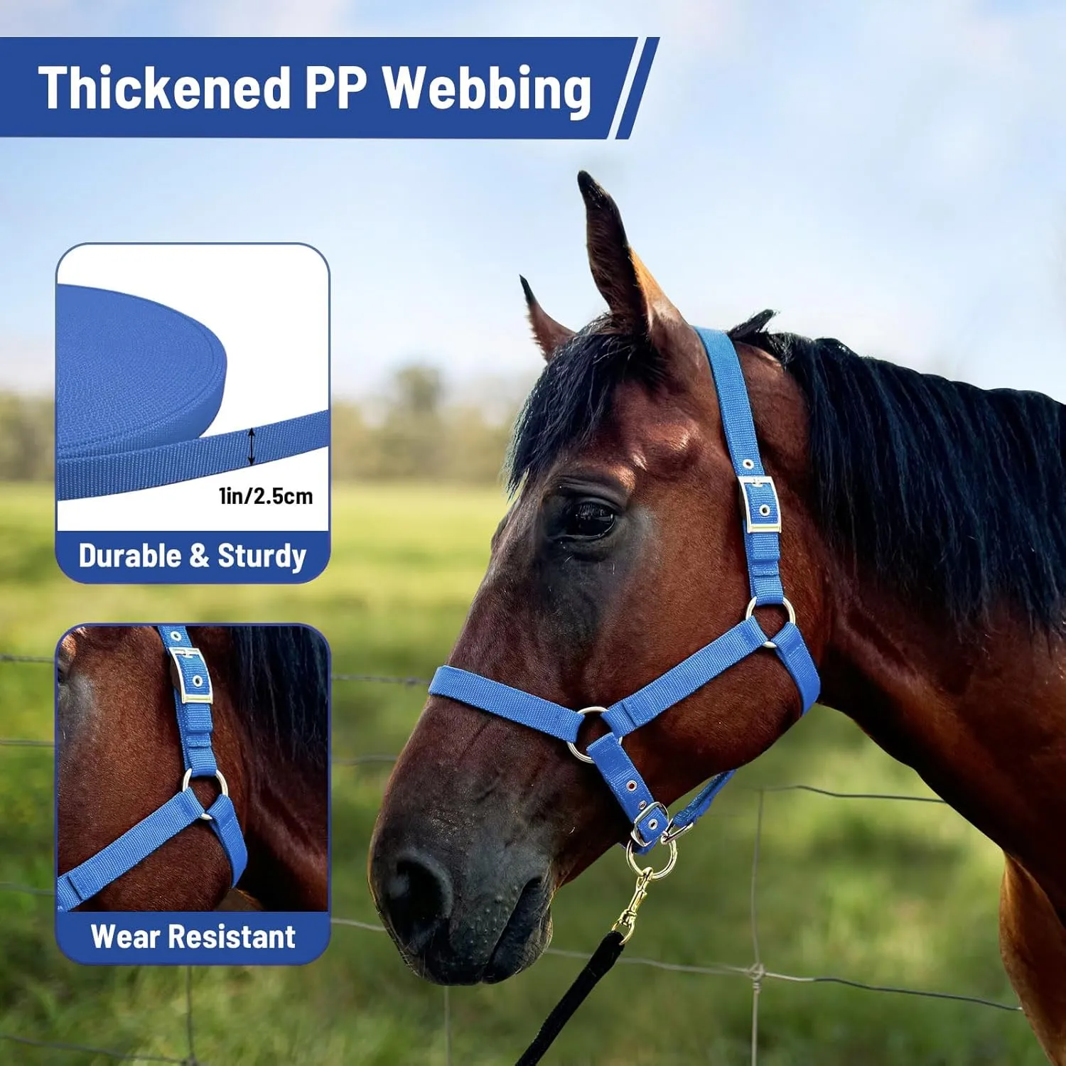 Horse Halter, Adjustable Nylon Strap with Metal Hardware