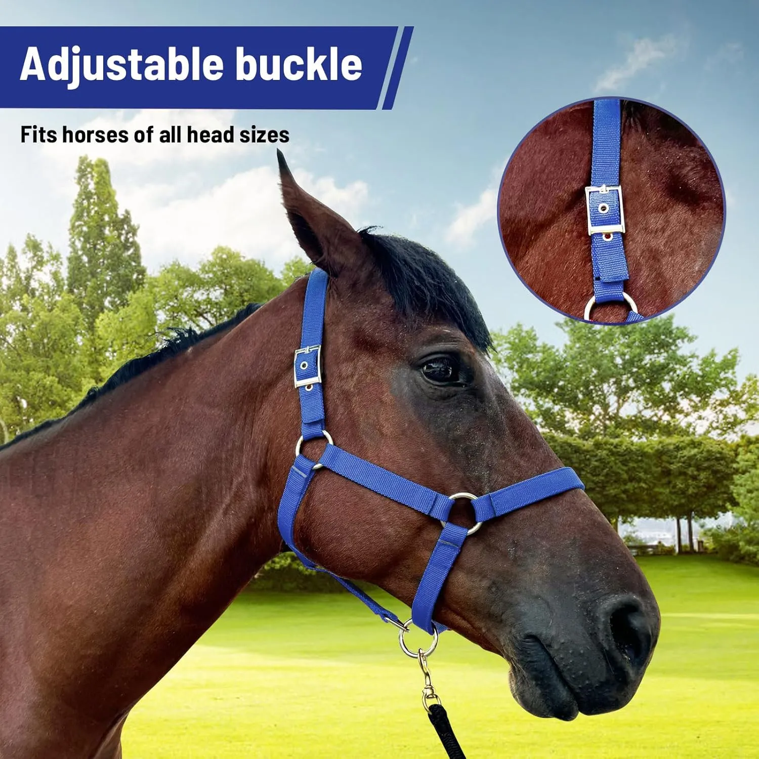 Horse Halter, Adjustable Nylon Strap with Metal Hardware