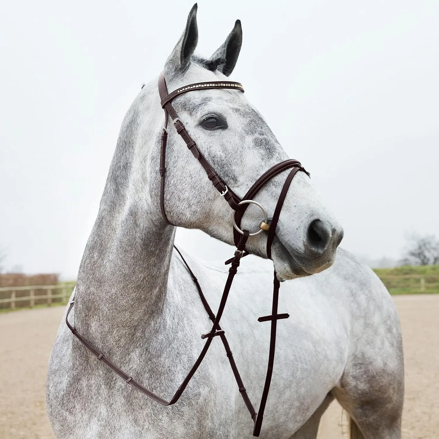 HORZE Slender Grippy Horseback Riding English Web Reins with Hand Stops