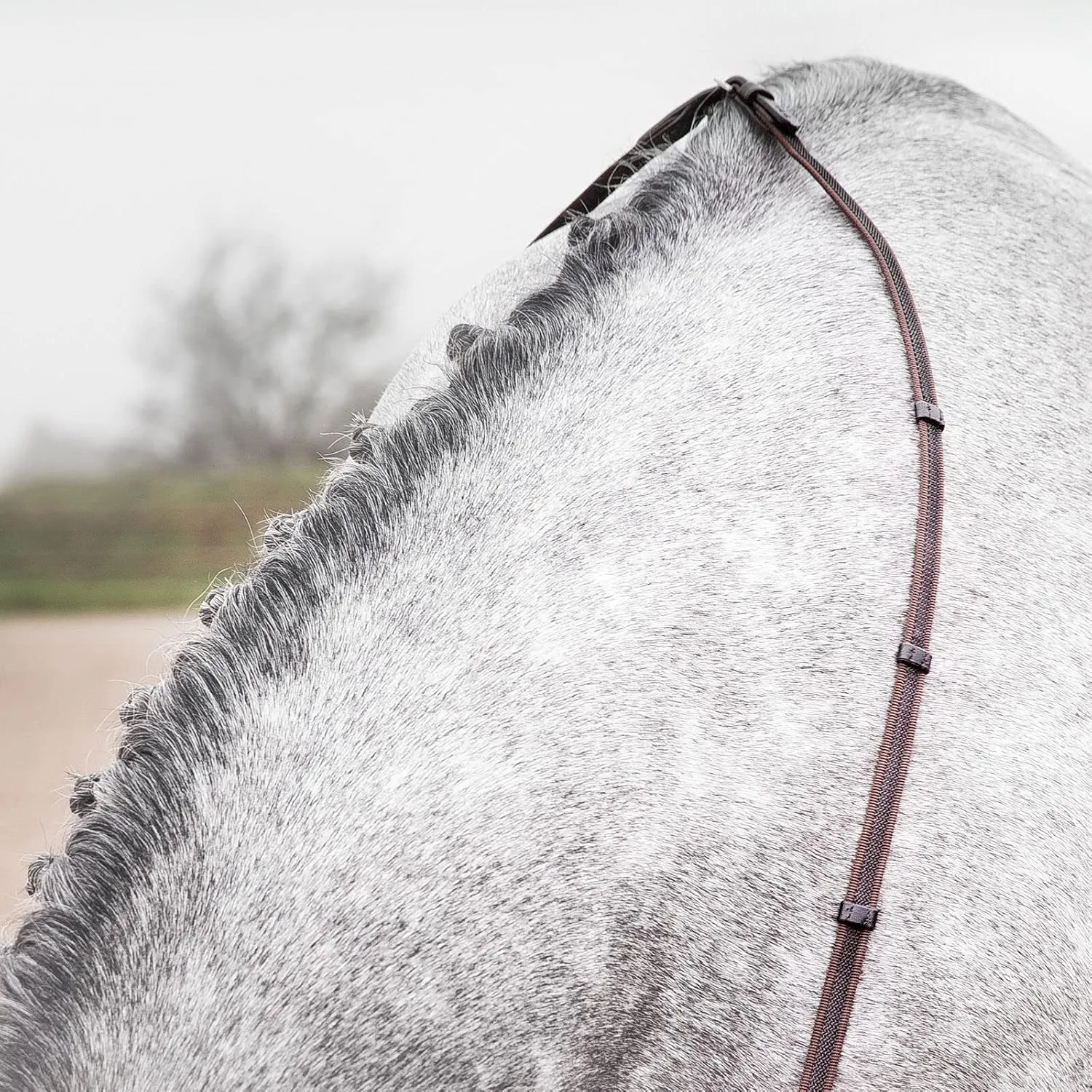 HORZE Slender Grippy Horseback Riding English Web Reins with Hand Stops