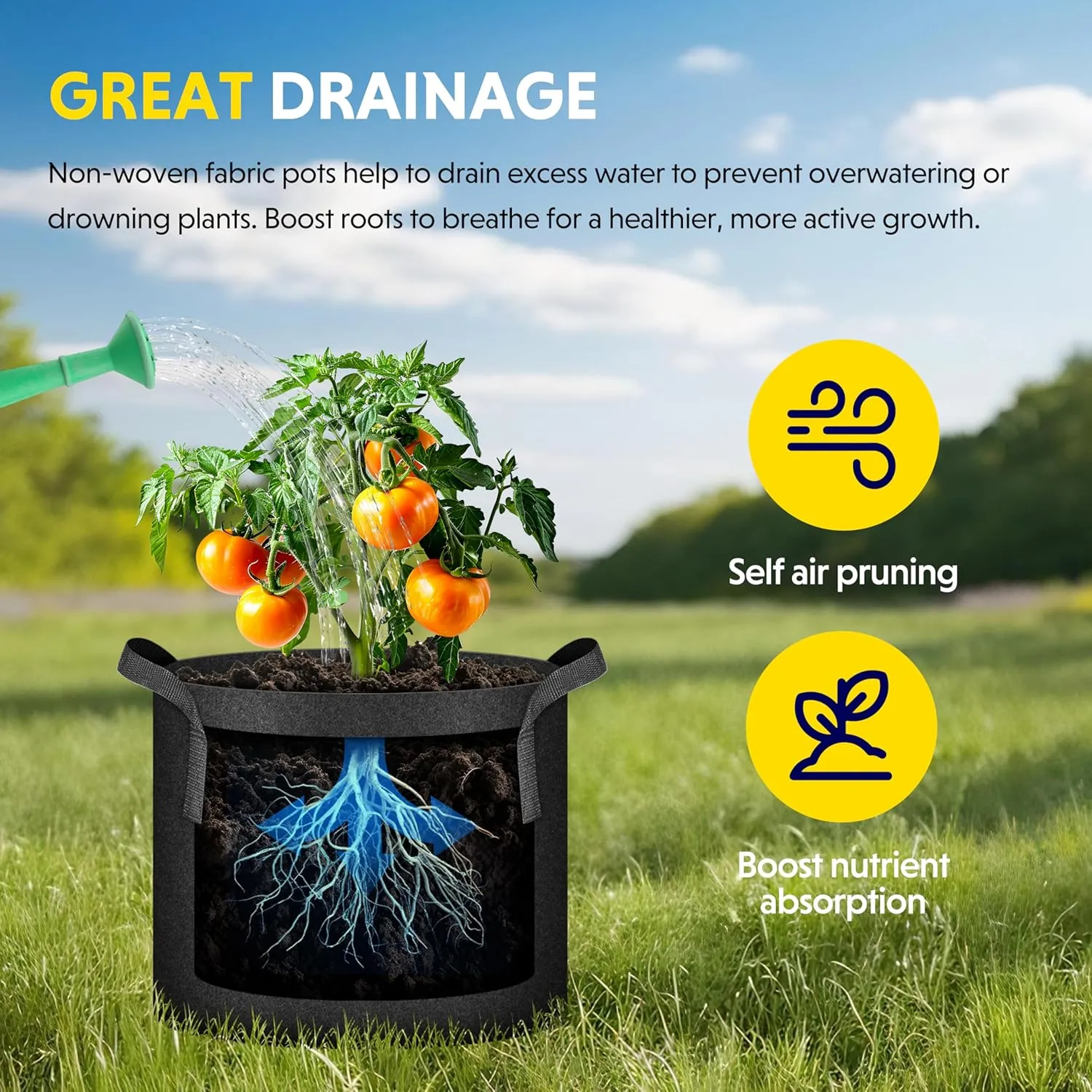 iPower Plant Grow Bag 10 Gallon 6-Pack Heavy Duty Fabric Pots, 300g Thick Nonwoven Fabric Containers Aeration with Nylon Handles, for Planting Vegetables, Fruits, Flowers, Black 2024 Version