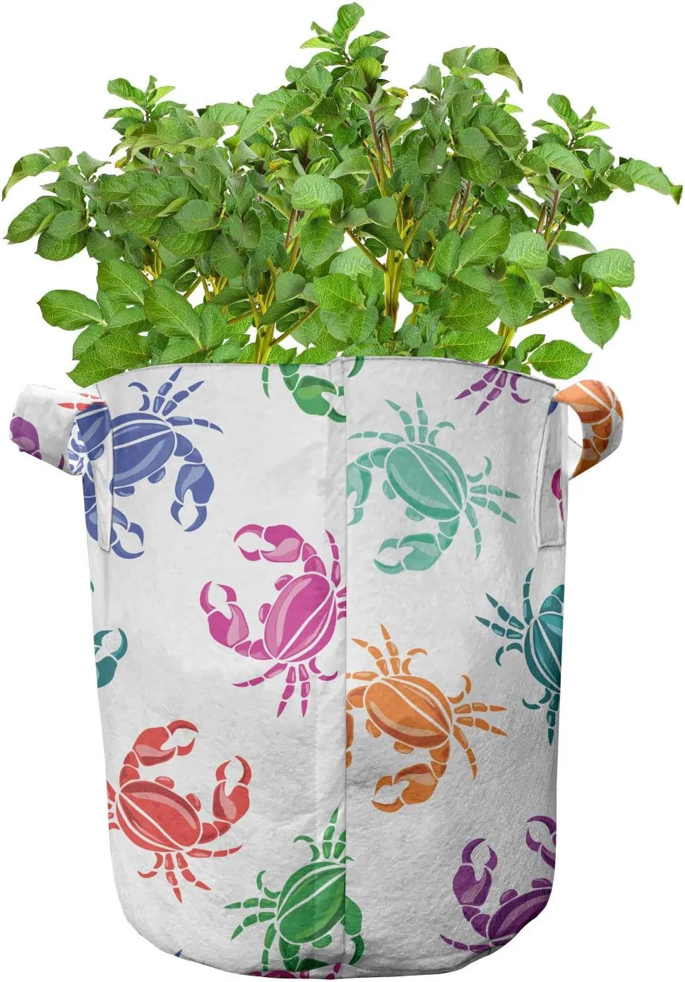 Lunarable Sea Animals Grow Bags 5-Pack, Crabs Lively Colors, Heavyduty Fabric Pots with Handles for Plants, Orange Teal