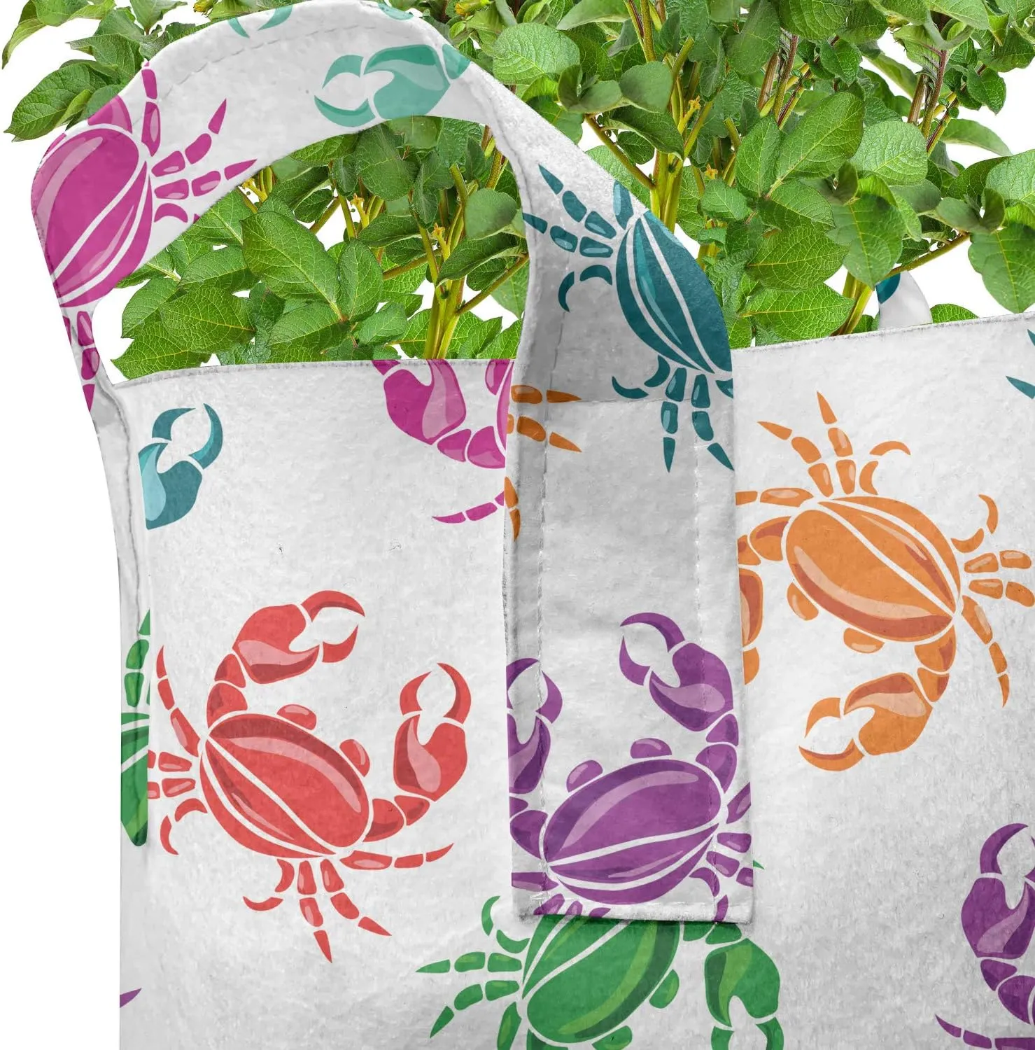 Lunarable Sea Animals Grow Bags 5-Pack, Crabs Lively Colors, Heavyduty Fabric Pots with Handles for Plants, Orange Teal