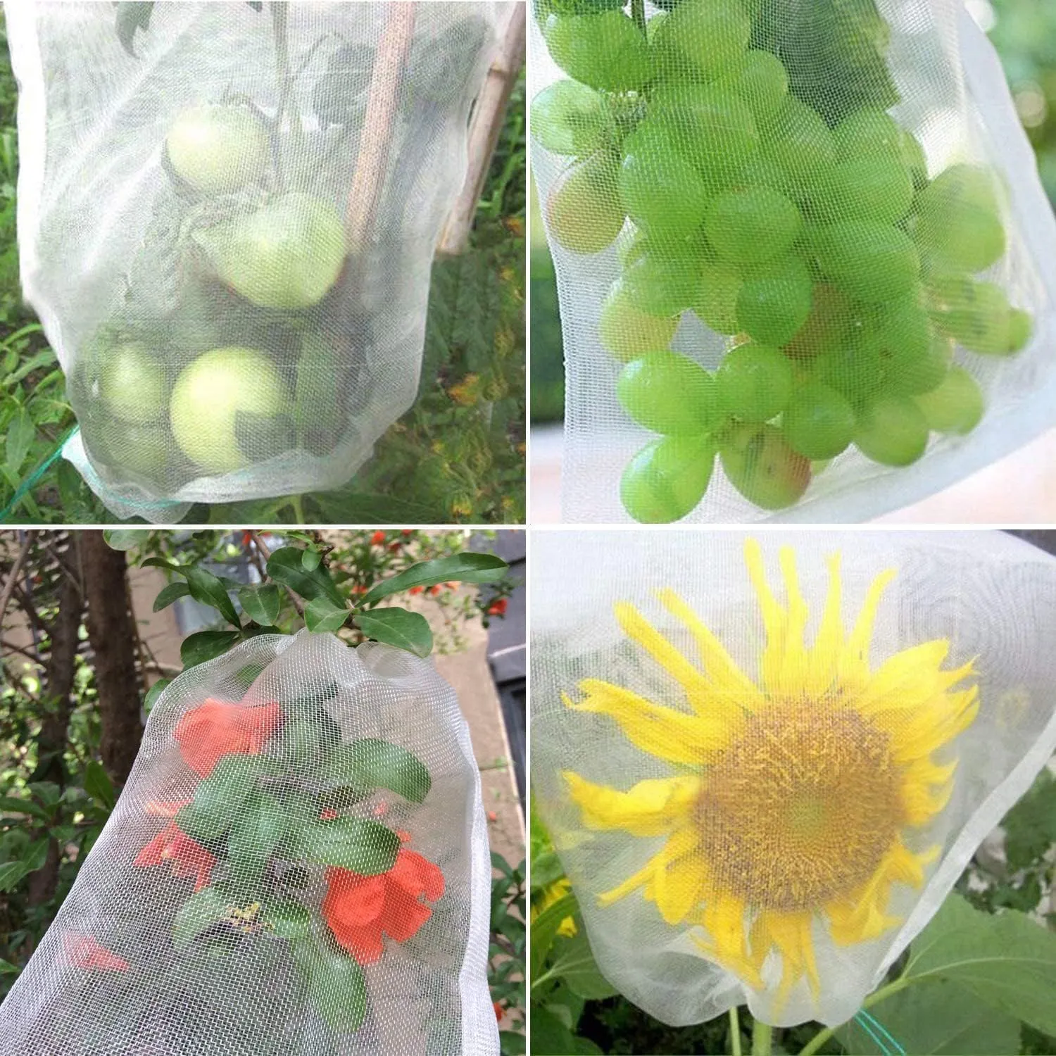 Reusable Cotton Net Fabric Fruit Protection Bags Cheese Muslin Drawstring Fruit Covers Bags Birds Frost Insect Barrier Netting Coffee Bags Protect Your Flower Fruit Garden Pack of 50 (12 X 14)